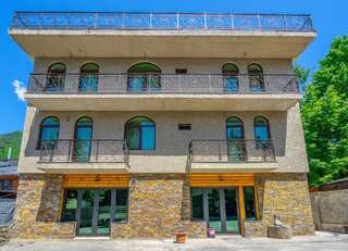 Гостевой дом Guesthouse David Zhorzholiani Местиа-1